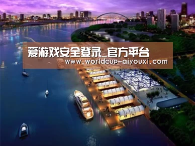案例展示八