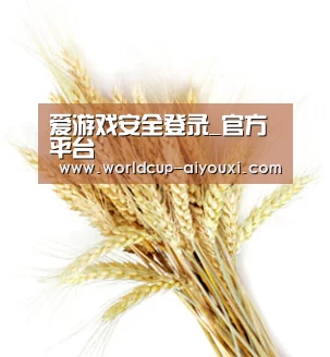 爱游戏安全登录_官方平台