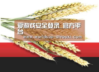 爱游戏安全登录_官方平台