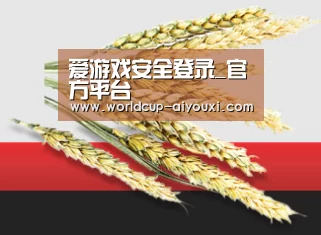 爱游戏安全登录_官方平台