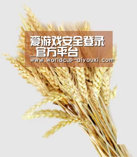 爱游戏安全登录_官方平台