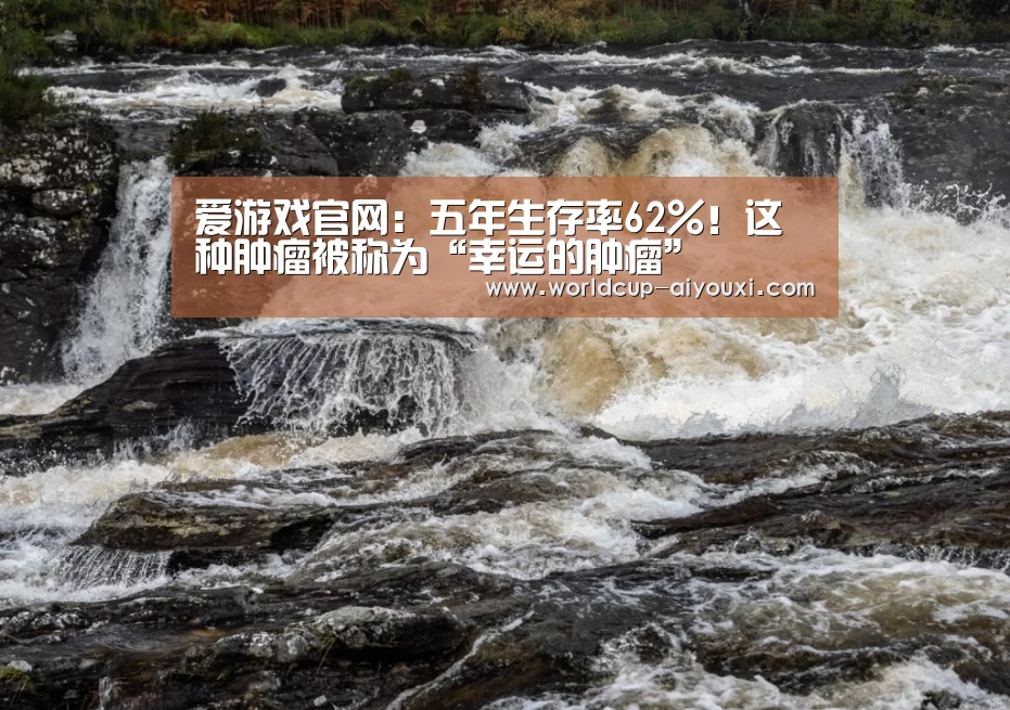 爱游戏官网:五年生存率62%!这种肿瘤被称为“幸运的肿瘤”(图1) 爱游戏直播
