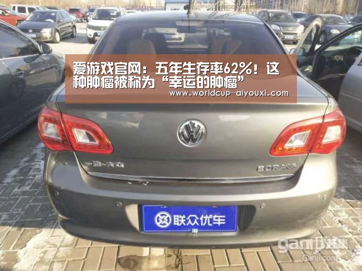 爱游戏官网:五年生存率62%!这种肿瘤被称为“幸运的肿瘤”(图4) 爱游戏下载