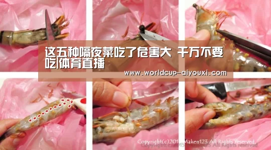 体育直播