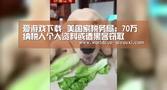 爱游戏下载-美国家税务局:70万纳税人个人资料或遭黑客窃取(图1) 爱游戏官网