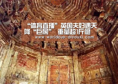 体育直播
