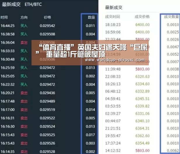 体育直播