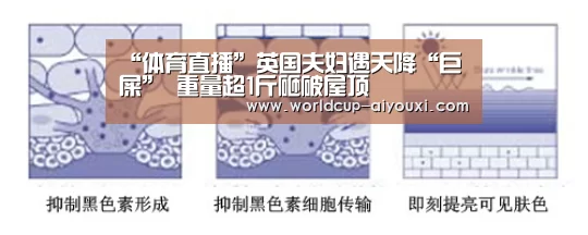 爱游戏直播