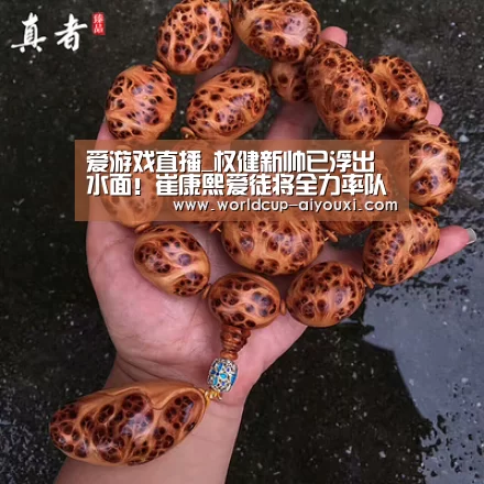 爱游戏直播_权健新帅已浮出水面!崔康熙爱徒将全力率队完成保级重任(图3) 爱游戏官网