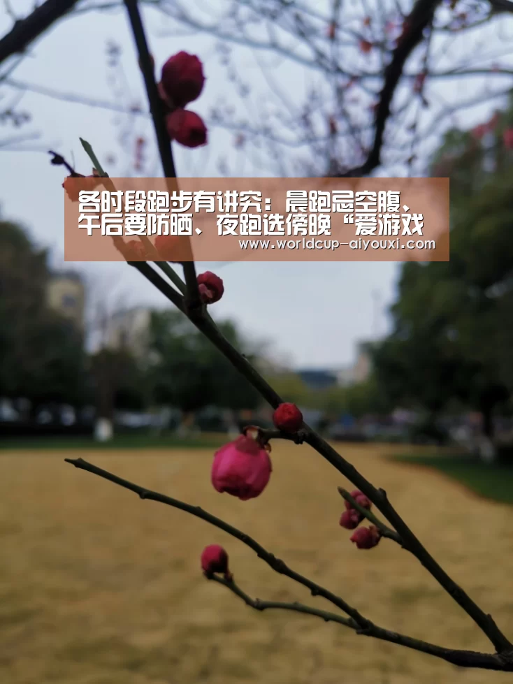 各时段跑步有讲究:晨跑忌空腹、午后要防晒、夜跑选傍晚“爱游戏直播”(图1) 爱游戏直播