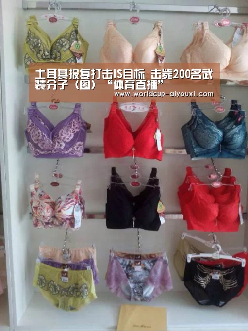 土耳其报复打击IS目标 击毙200名武装分子(图)“体育直播”(图1) 体育直播