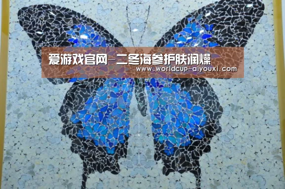 体育直播