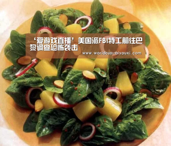 ‘爱游戏直播’美国派FBI特工前往巴黎调查恐怖袭击