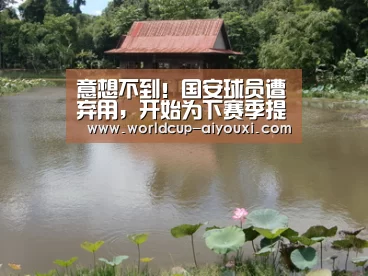 意想不到！国安球员遭弃用，开始为下赛季提前规划【爱游戏下载】